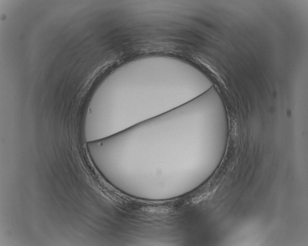 X0000066110733200603101003