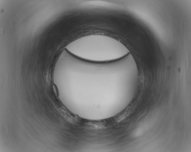 X0000066110763200603101003