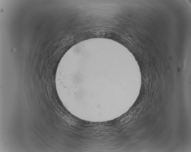 X0000066110769200603101003
