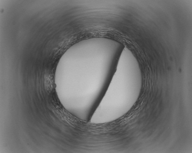 X0000066110772200603101003