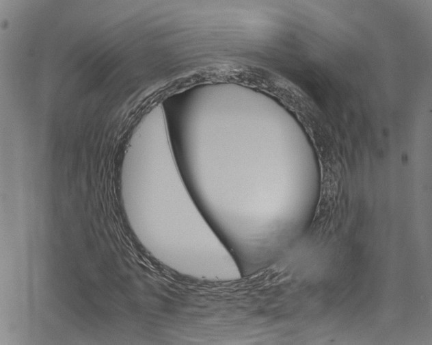 X0000066110773200603101002