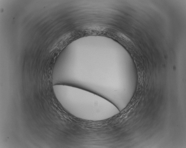 X0000066110774200603101002