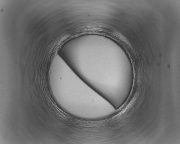 X0000066110777200603101002