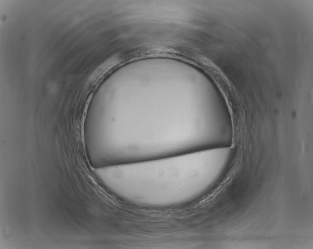 X0000066110785200603101002