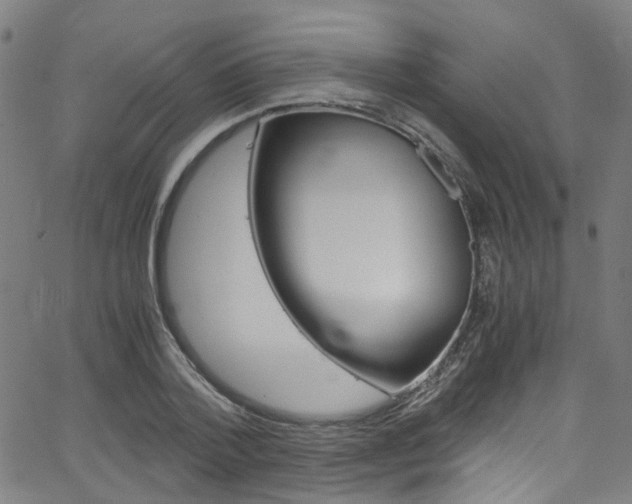 X0000066110788200603101002