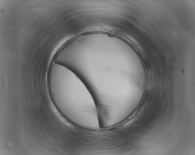 X0000066110796200603101002