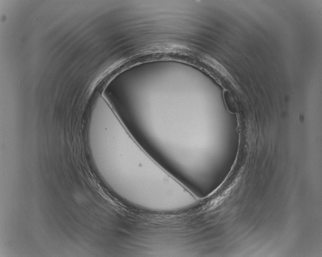 X0000066110826200603101001