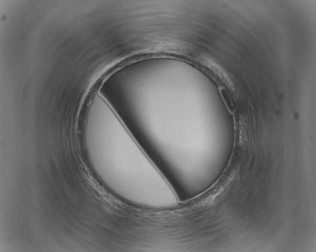 X0000066110876200603101001