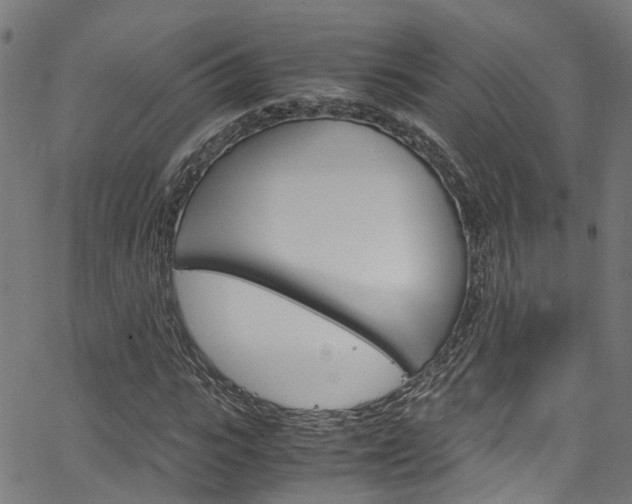 X0000066110919200603100959