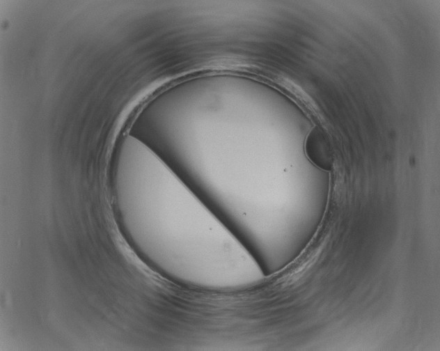 X0000066110939200603101000