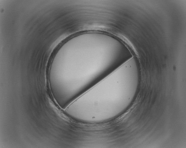 X0000066110980200603100959