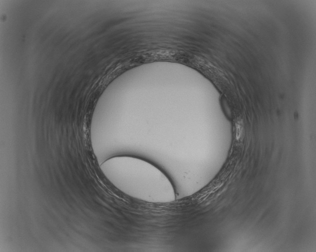 X0000066111011200603100958