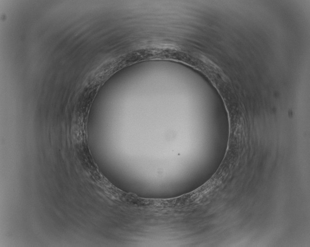 X0000066111014200603100958