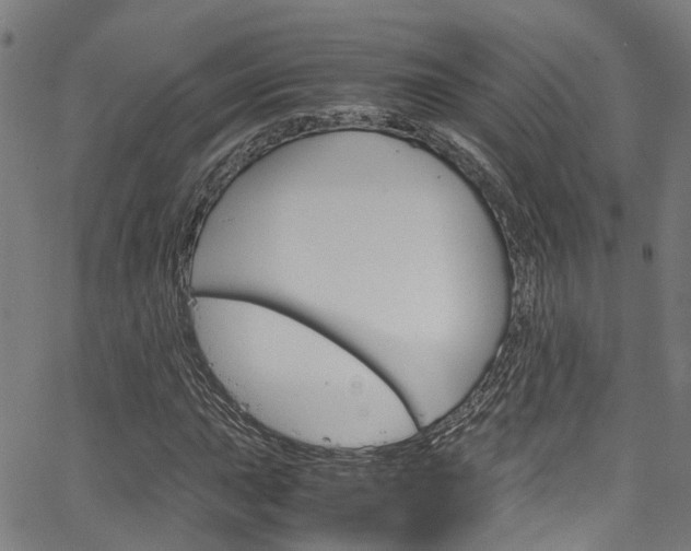 X0000066111015200603100958
