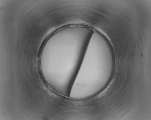 X0000066111029200603100958