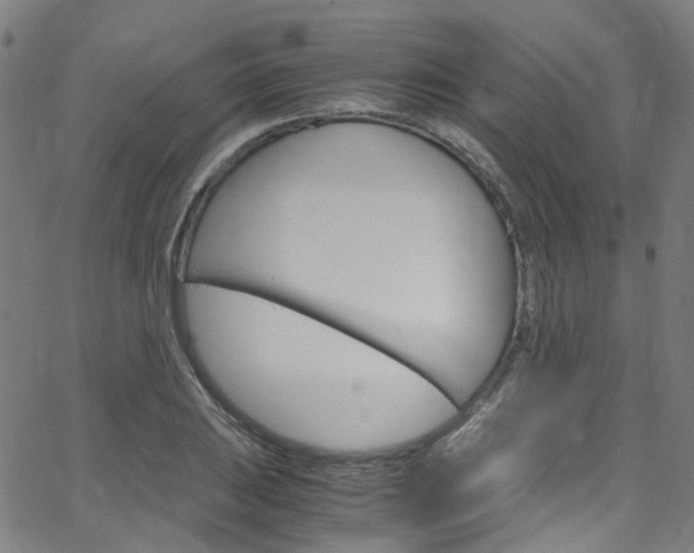 X0000066111031200603100958