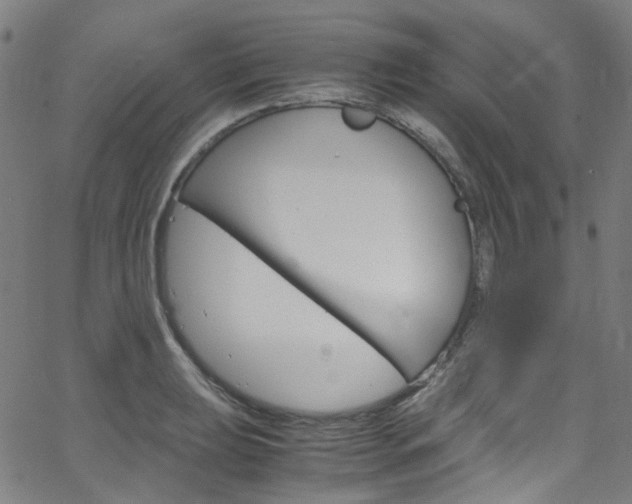 X0000066111039200603100958