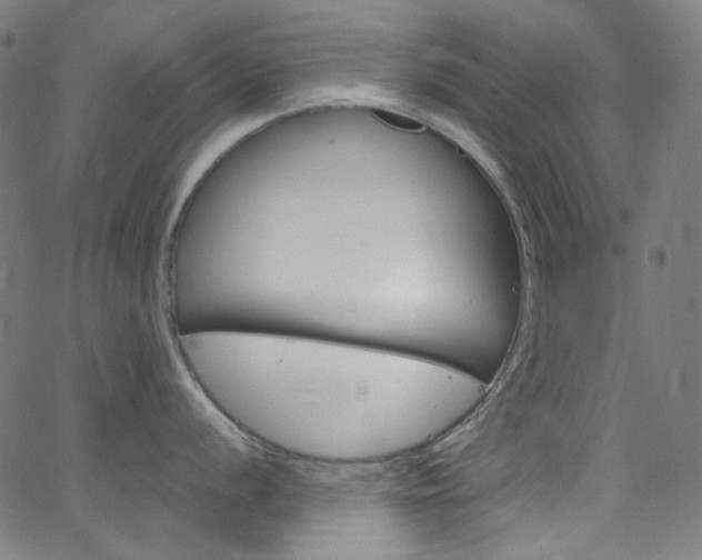 X0000066111056200603100959
