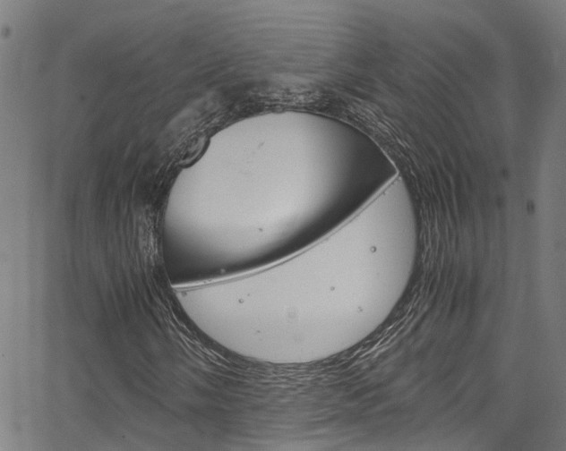 X0000066111058200603100958