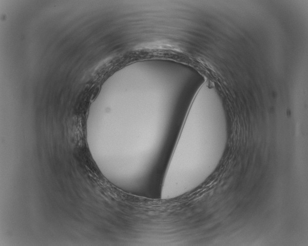 X0000066111062200603100958