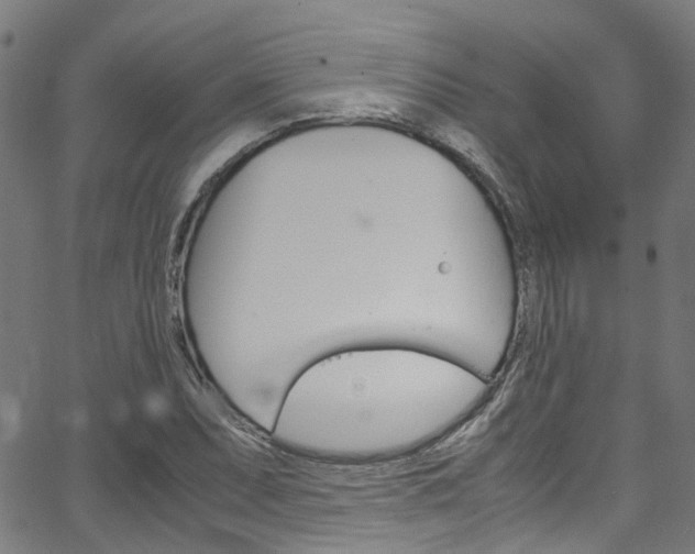 X0000066111071200603100958