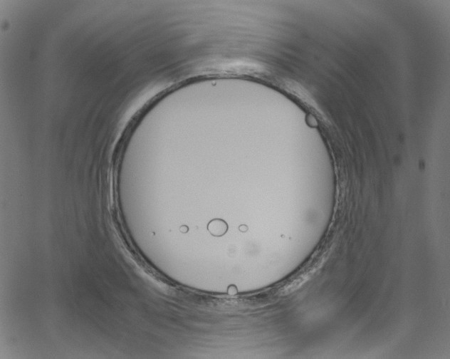 X0000066111079200603100957