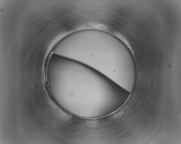 X0000066111080200603100957