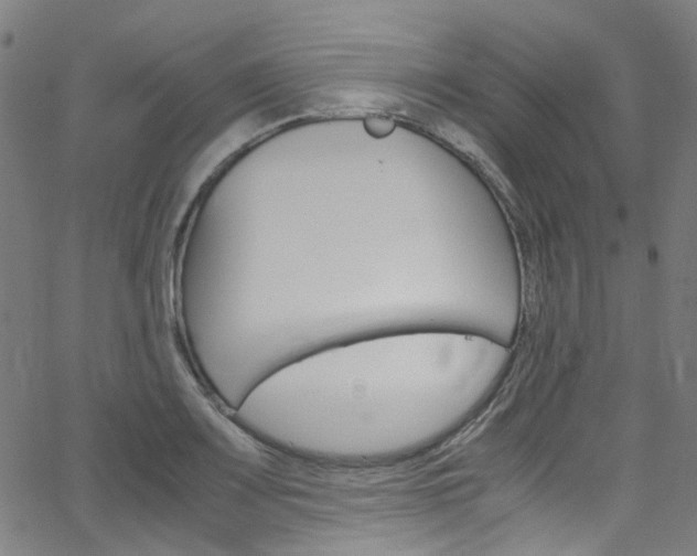 X0000066111083200603100957