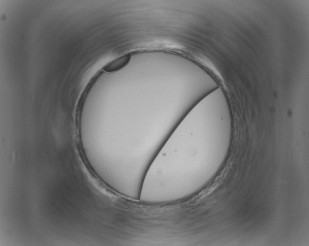 X0000066111087200603100957