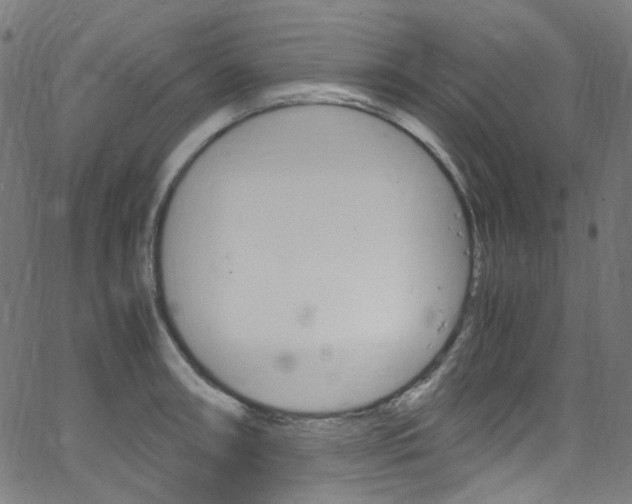 X0000066111090200603100957