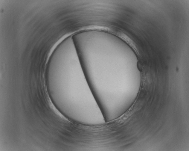 X0000066111092200603100957