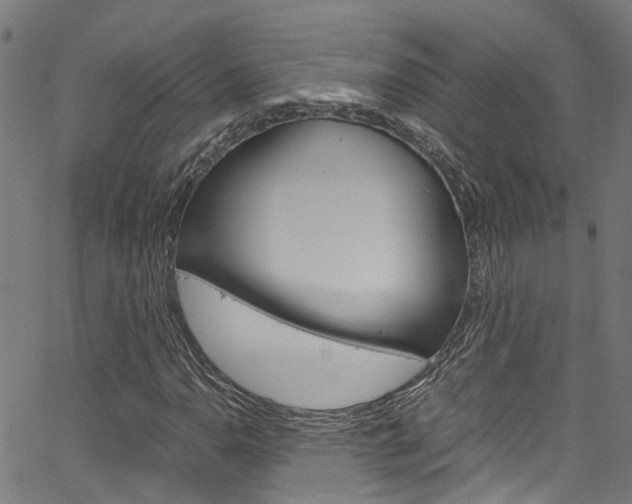 X0000066111110200603100956