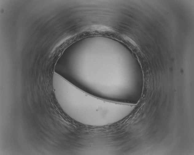 X0000066111112200603100956