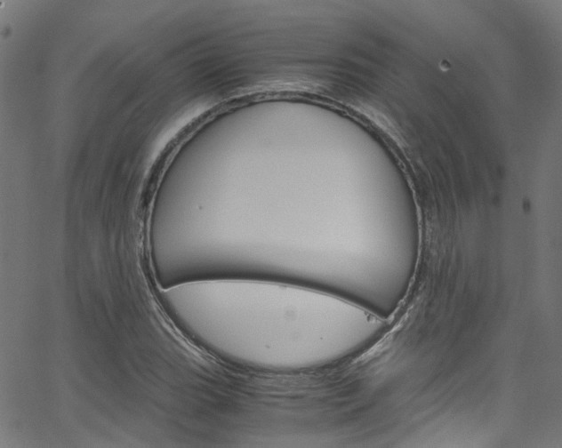 X0000066111119200603100957