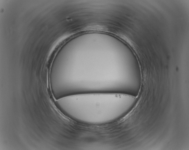 X0000066111123200603100957