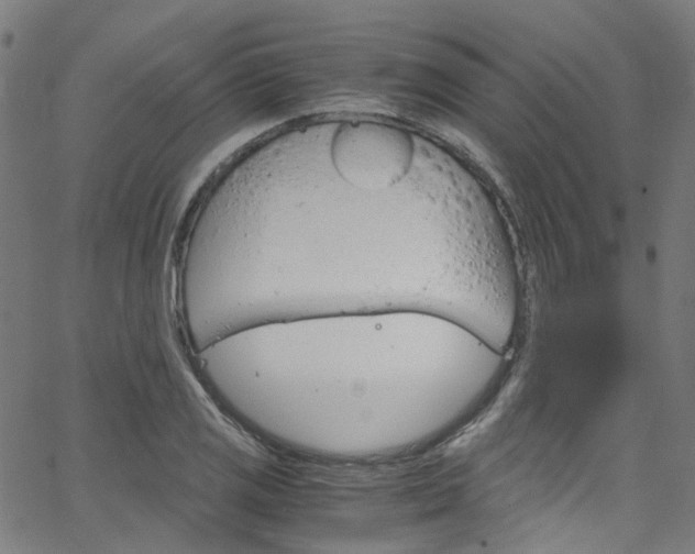 X0000066111125200603100957