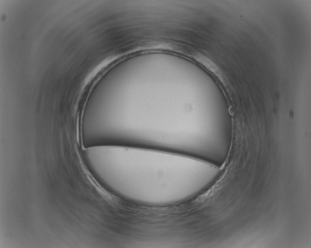 X0000066111127200603100957