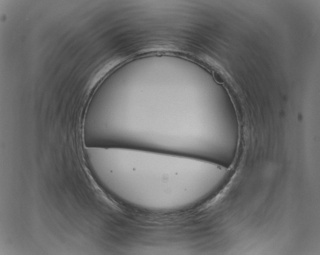 X0000066111129200603100957