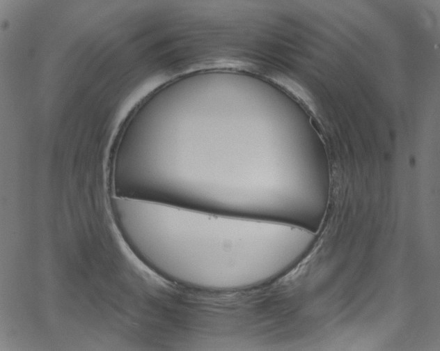 X0000066111135200603100957