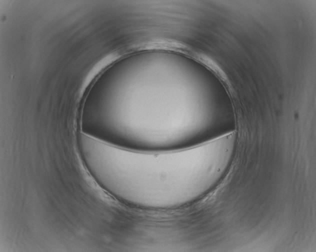 X0000066111138200603100957