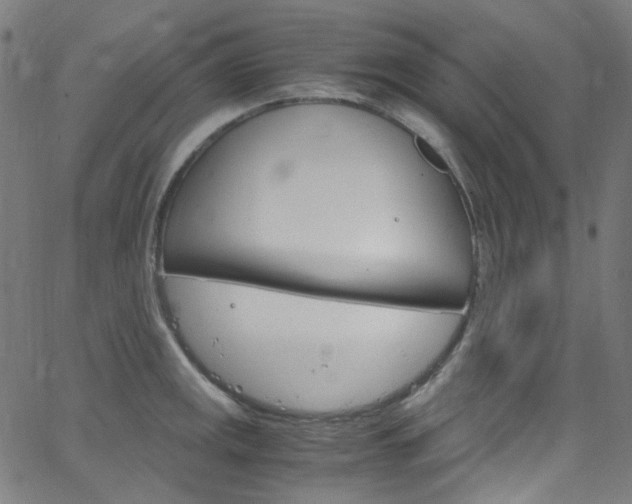 X0000066111141200603100957