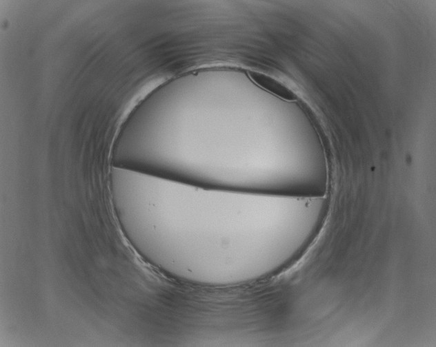 X0000066111145200603100957