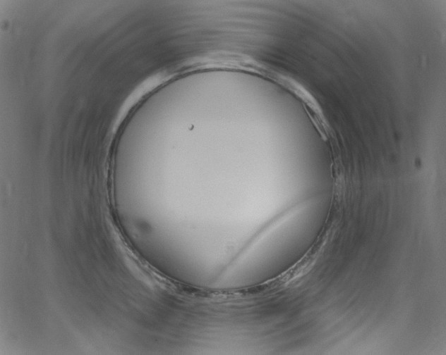 X0000066111146200603100957