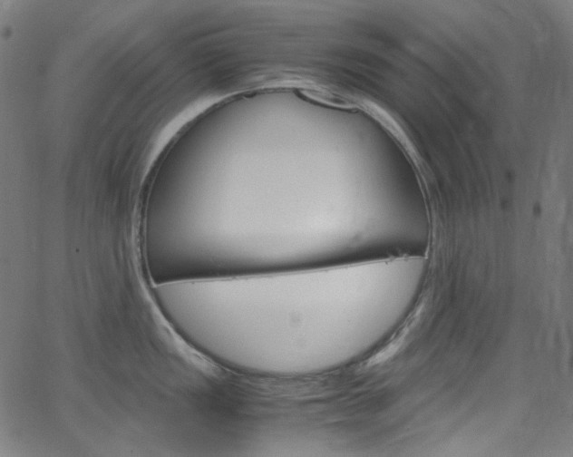 X0000066111149200603100957