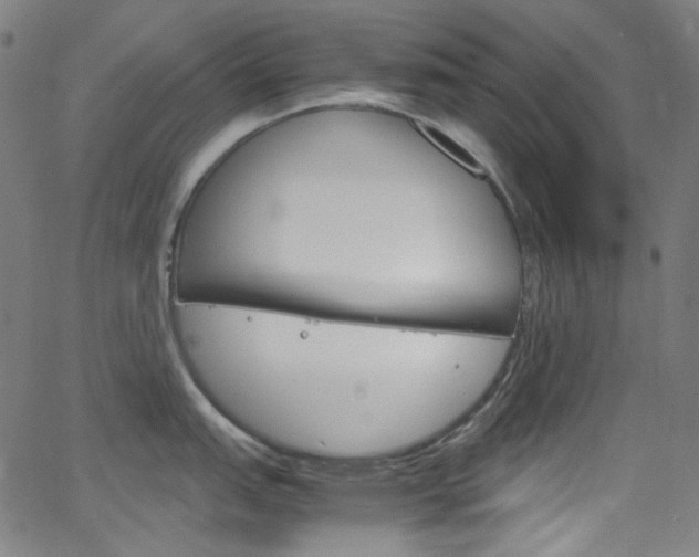 X0000066111151200603100957