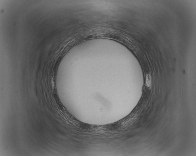 X0000066111155200603100956