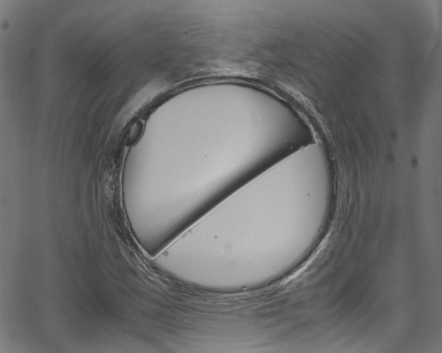 X0000066111163200603100956
