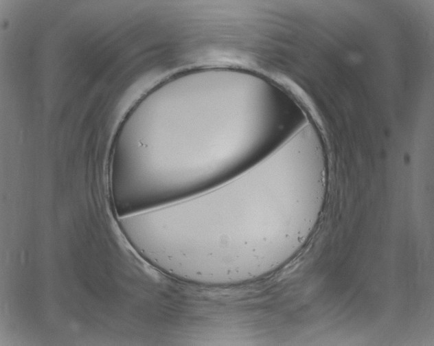 X0000066111191200603100956