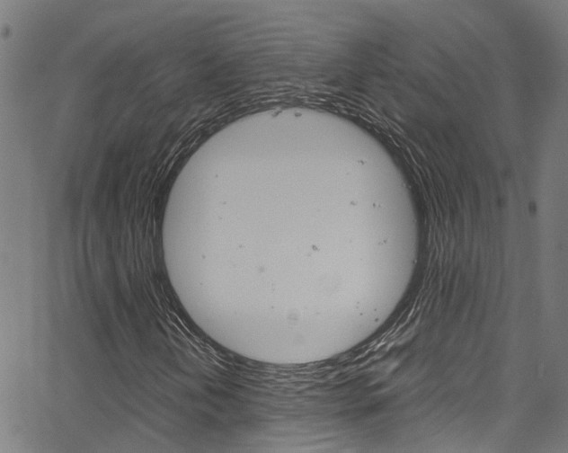 X0000066111202200603100955