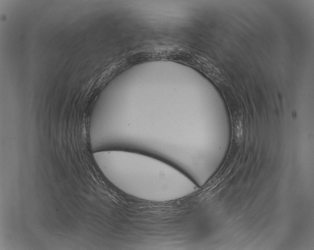 X0000066111204200603100955